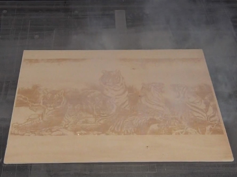 工業級 CO2 木版印刷激光打標機