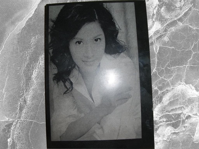 數控激光石材雕刻機項目