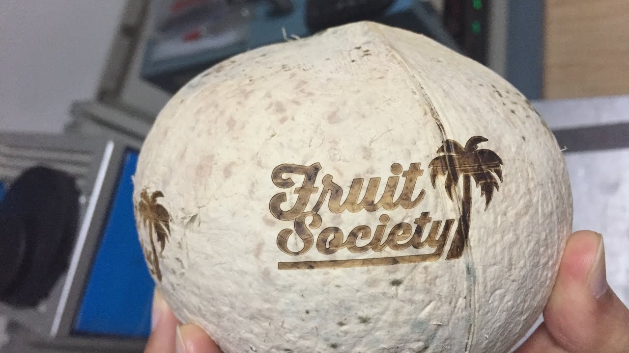 泰國STYLECNC椰子激光雕刻機